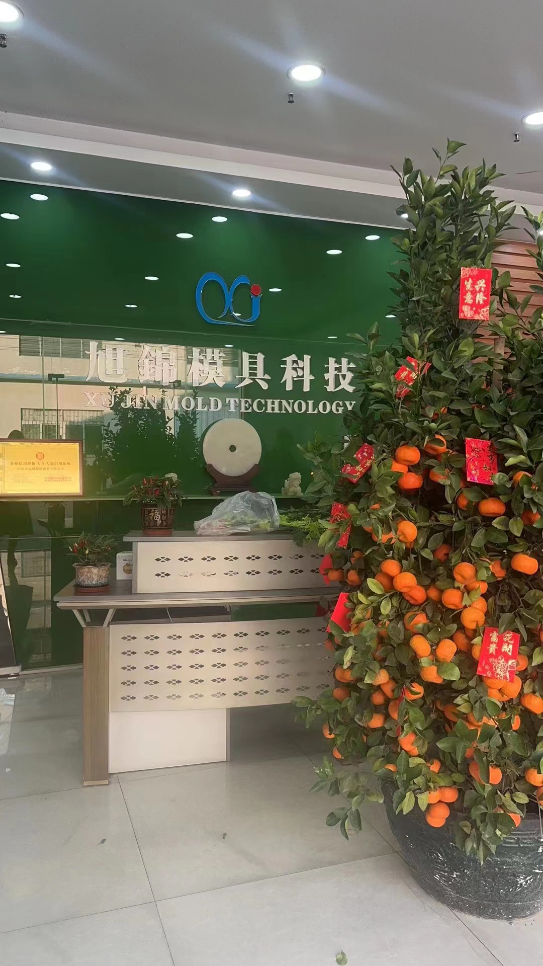 AK(中国)注塑模具加工 塑料制品开模 AK官方网站制造